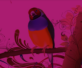 Ilustraciones